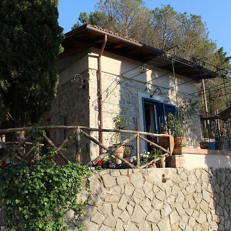 Casa Azzurra Villa Terracina Eksteriør bilde